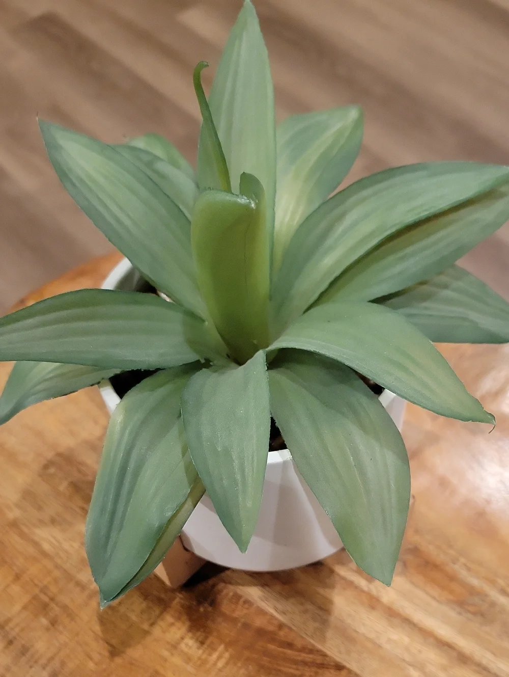 Pier 1 Faux Plant In White Planter